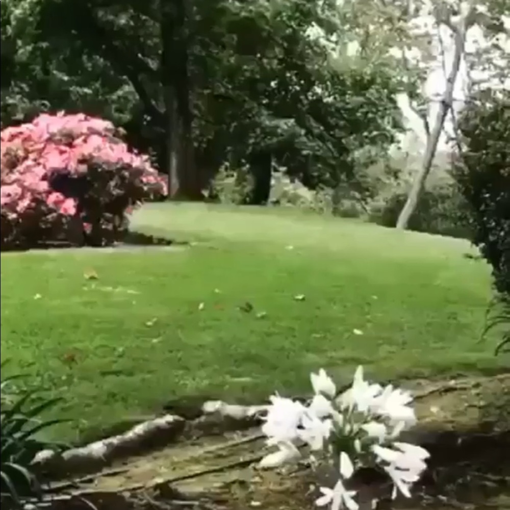 Meet your Posher, Nate